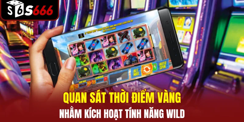 Quan sát thời điểm vàng nhằm kích hoạt tính năng Wild