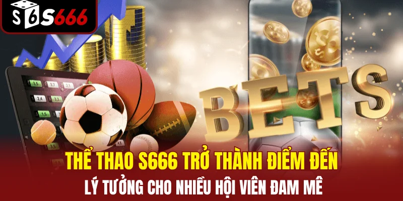 Thể thao S666 trở thành điểm đến lý tưởng cho nhiều hội viên đam mê